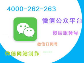 蘇州有哪些專業(yè)的微網(wǎng)站建設公司