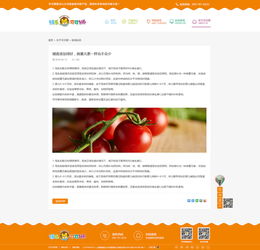 期是期望 網(wǎng)頁(yè) 企業(yè)官網(wǎng) 劉期業(yè) 上海 zcool