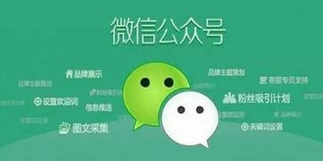 上海網(wǎng)站建設(shè)分析企業(yè)微信公眾號(hào)該怎么定位的幾個(gè)方法